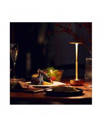 Lampe de Table Sans Fil Dimmable Imperméable à l’eau en métal USB Rechargeable Lampes de Table -1pcs