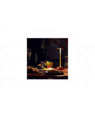 Lampe de Table Sans Fil Dimmable Imperméable à l’eau en métal USB Rechargeable Lampes de Table -1pcs