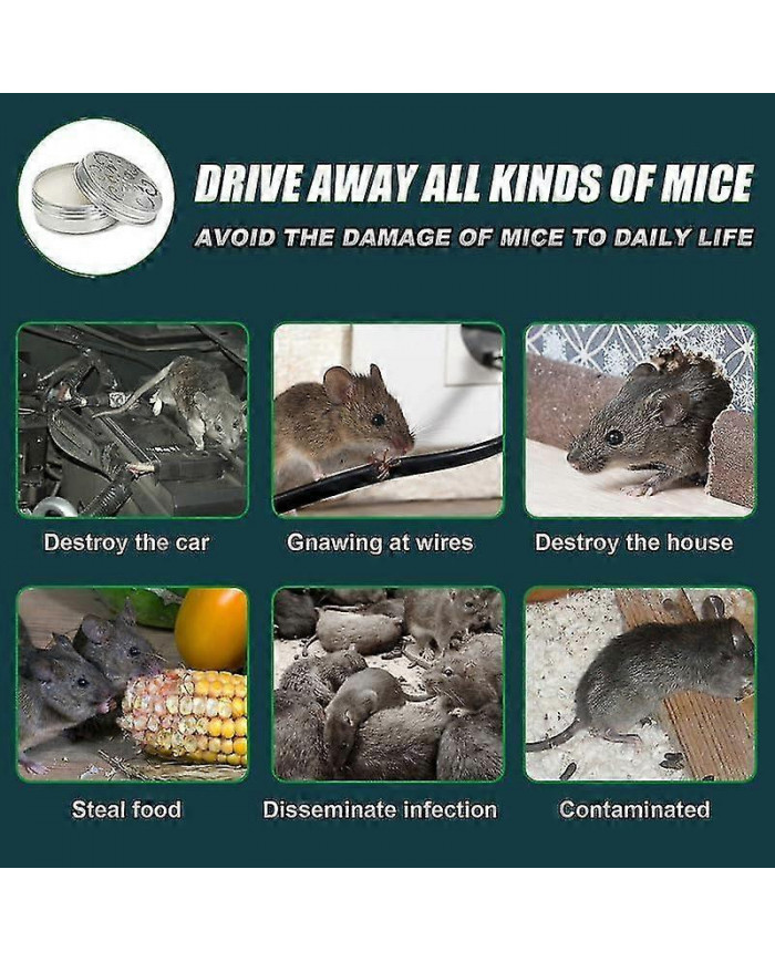 Huile de menthe poivrée pour repousser les souris et les rats, répulsif pour rongeurs, répulsif pour souris, [...]