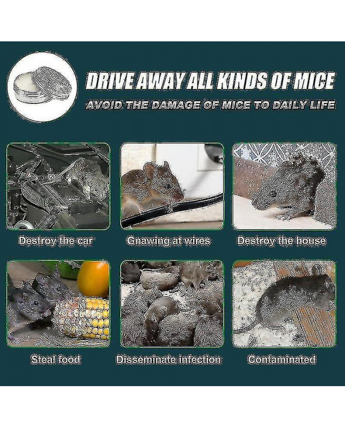 Huile de menthe poivrée pour repousser les souris et les rats, répulsif pour souris répulsif pour rongeurs, [...]