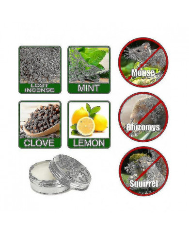 Huile de menthe poivrée pour repousser les souris et les rats, répulsif pour souris répulsif pour rongeurs, [...]