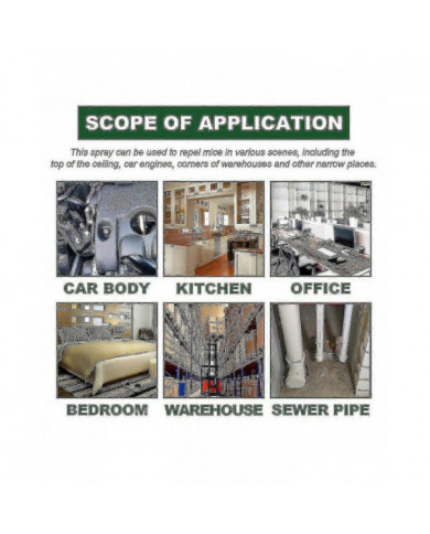 Spray d’huile essentielle de menthe poivrée naturelle forte Spray répulsif pour rongeurs de souris