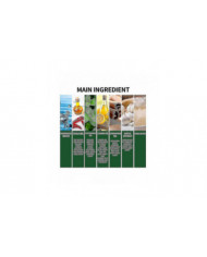 Spray d’huile essentielle de menthe poivrée naturelle forte Spray répulsif pour rongeurs de souris