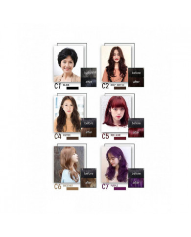 Hair Color Shampoo Hair Dye Shampoo Couleurs Cheveux en minutes Pour les femmes et les hommes
