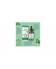 Huile de Cyperus Rotundus, Huile de Cyperus Rotundus pour l’épilation, Réduire la croissance des poils, Huile de [...]