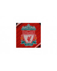 Liverpool FC Boys Pyjamas Long Sublimation Kids CADEAU OFFICIEL de football
