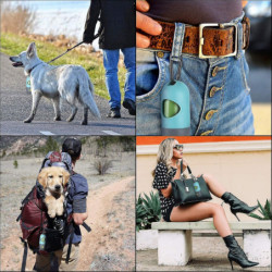 2pcs Led Flashlight Dog Poop Garbage Bag Holder Pet Poop Bag Dispenser (blue)