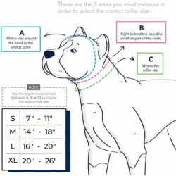 Collier de suivi de chien réfléchissant réglable avec Airtag Waterproof Holder Case