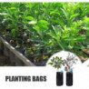 Sac de semis, sacs de pépinière en plastique, sac de semis, sac de pépinière en plastique, sac de culture de [...]