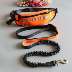 Reflective Waterproof Waist Bag with Leash for Outdoor Jogging Activities