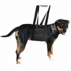 Evago Pet Carrier Belt, Dog Carrier Belt, Pet Assistance Belt, Pet Protector Belt, Dog Protector Belt, Pet Supplies Evago Pet Carrier Belt, Dog Carrier Belt, Pet Assistance Belt, Pet Protector Belt, Dog Protector Belt, Pet Supplies