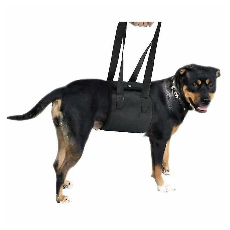 Evago Pet Carrier Belt, Dog Carrier Belt, Pet Assistance Belt, Pet Protector Belt, Dog Protector Belt, Pet Supplies Evago Pet Carrier Belt, Dog Carrier Belt, Pet Assistance Belt, Pet Protector Belt, Dog Protector Belt, Pet Supplies