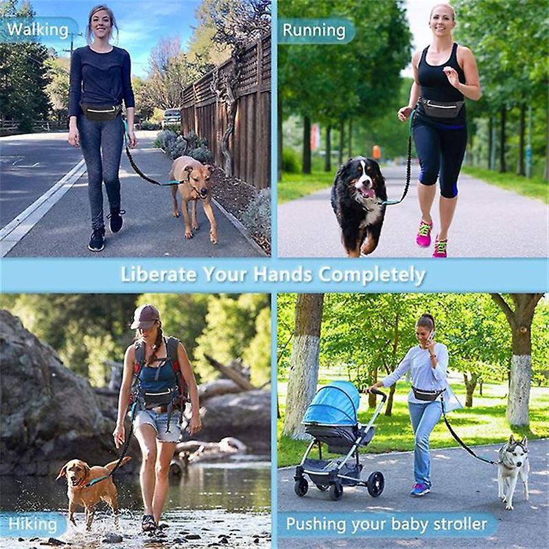 Sports Waist Bag Dog Leash Reflective Elastic Outdoor Pet Supplies Noir Sports Waist Bag Dog Leash Reflective Elastic Outdoor Pet Supplies Noir