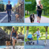 Sports Waist Bag Dog Leash Reflective Elastic Outdoor Pet Supplies Noir Sports Waist Bag Dog Leash Reflective Elastic Outdoor Pet Supplies Noir