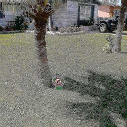 Newway 4 Pieces No Poop Dog Signs Be Respectful No Pooping Dog Lawn Signs No Dog Poop Yard Signs