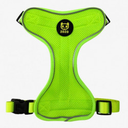 Nc 2022 New Pet Supplies Dog Automatic Hand Holding Rope Night Reflective Chest Strap Suit