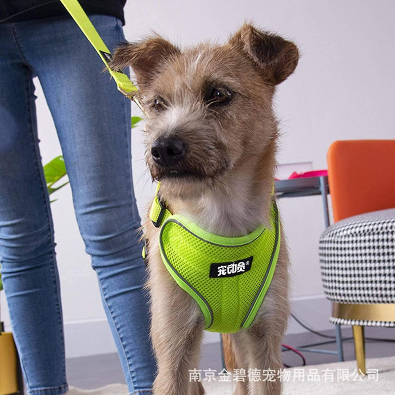 Nc 2022 New Pet Supplies Dog Automatic Hand Holding Rope Night Reflective Chest Strap Suit