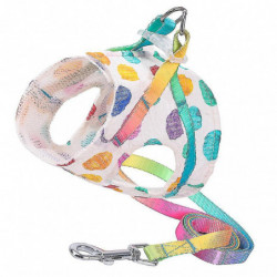 1pc Creative Practical Durable Portable Dog Rope Pet Leash For Cat Pet Outdoor Dog 1pc Creative Practical Durable Portable Dog Rope Pet Leash For Cat Pet Outdoor Dog