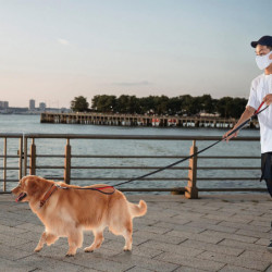 Heytea 4ft Heavy Duty Dog Leash avec 2 poignées rembourrées confortables pour la marche Crochets à pression [...]