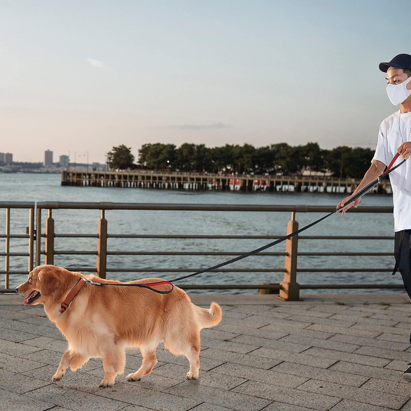 Heytea 4ft Heavy Duty Dog Leash avec 2 poignées rembourrées confortables pour la marche Crochets à pression [...]