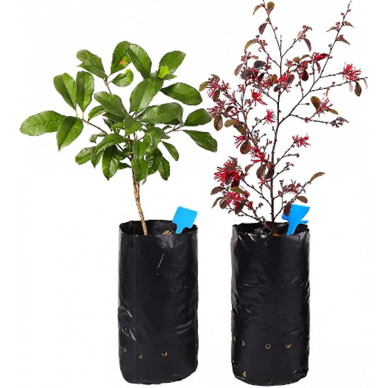 Seedling Bag, Plastic Nursery Bags, Seedling Bag Plastic Nursery Bag Plant Grow Bag 200pcs - DD