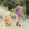 Dog Dung Scooper Collector Dog Poop Pickup Grapple Jaw For Pet Exterior Cleaning Durable Daily Needs Dog Dung Scooper Collector Dog Poop Pickup Grapple Jaw For Pet Exterior Cleaning Durable Daily Needs