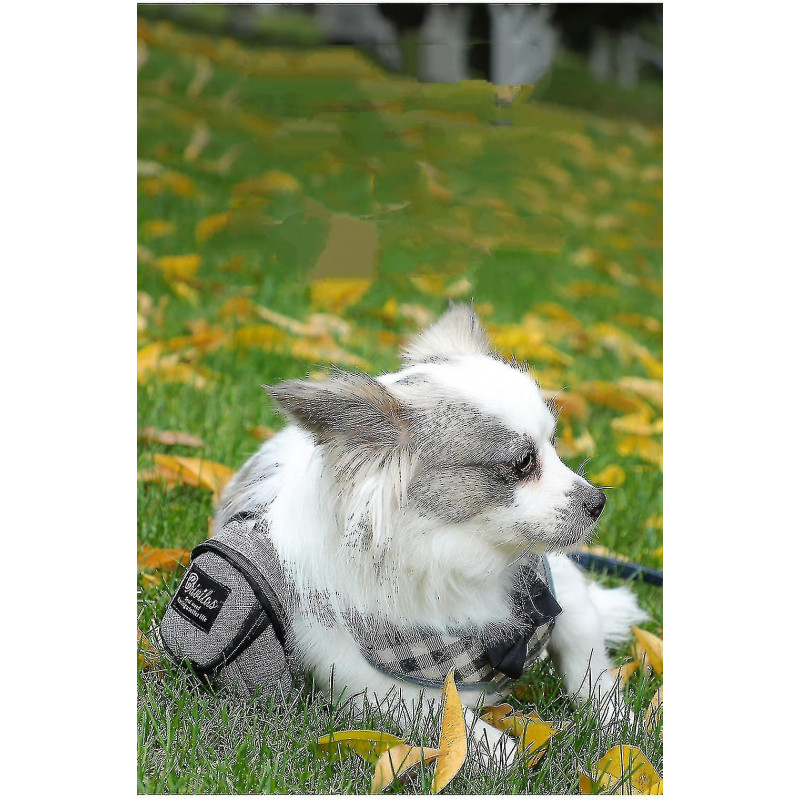 Dog Treat Bag Pet Feces Treat Bag Holder Dog Feces Treat Bag Dispenser Outdoor Stand Carry Dog Trash Zipper Bag [...]