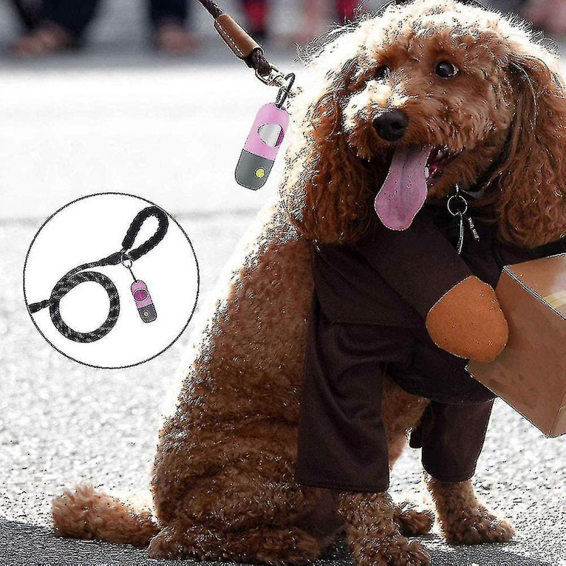 Distributeur de sac à crottes pour chiens avec lampe de poche LED intégrée et clip en métal