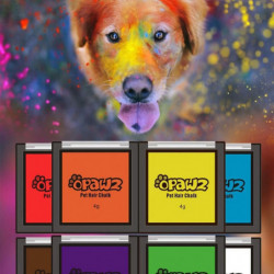 Couleur unique Pet Blush Teinture rapide pour animaux de compagnie Fournitures pratique Compact Poudre de [...]