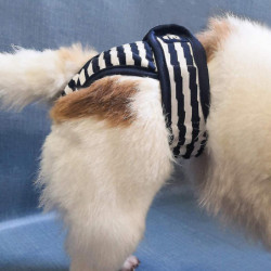 3 Piece Dog Diapers, Washable Protective Pants For Bitches, Adjustable Dog Panties For Urine Incontinence, [...]