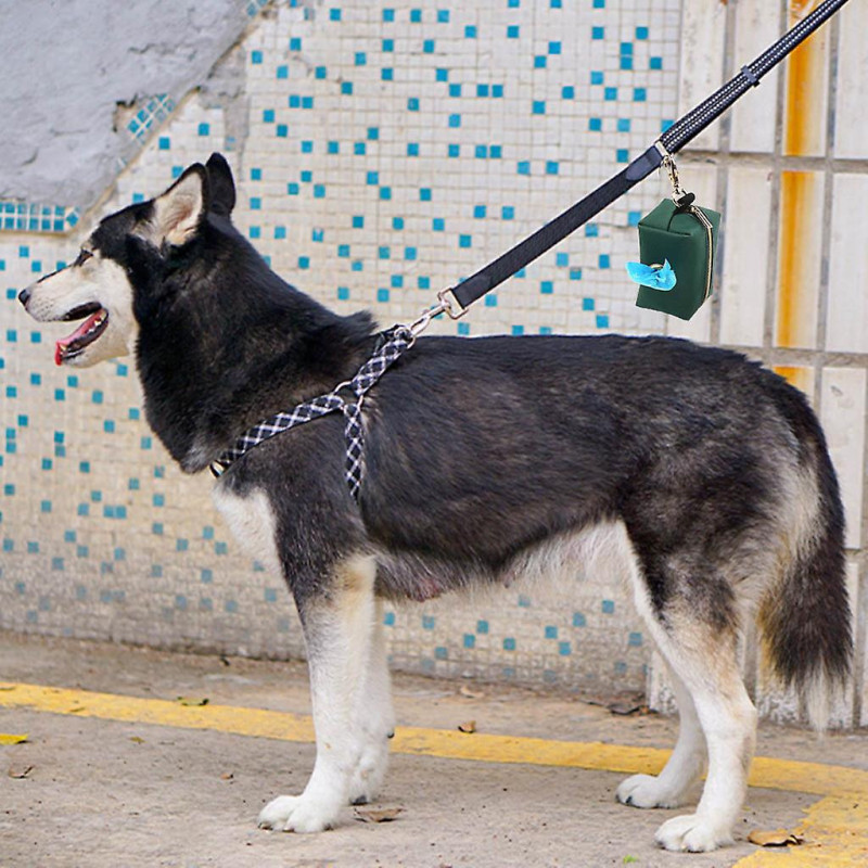 Distributeur de sacs à déchets pour animaux de compagnie avec crochet Accessoire imperméable pour courir avec des chiens