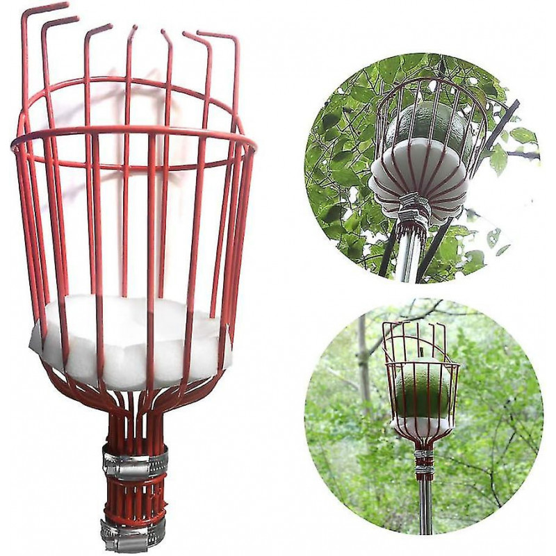 Outil de cueillette de fruits, poteau de cueillette de pommes de 160 cm avec panier réglable, longue poignée, [...]