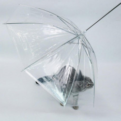 Pet Dog Umbrella Leash Transparent Umbrella For Small Dog Outdoor Walking
