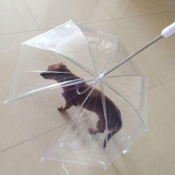 Pet Dog Umbrella Leash Transparent Umbrella For Small Dog Outdoor Walking