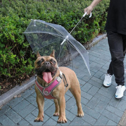 Pet Dog Umbrella Leash Transparent Umbrella For Small Dog Outdoor Walking
