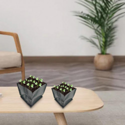 10pcs Plant Grow Bags Eco-friendly Waterproof Pe Strong Ventilation Plant Nursery Grow Bags For Garden Jikaix