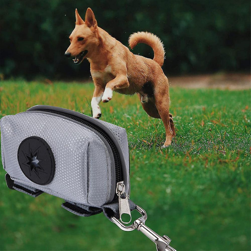 Distributeur de sacs à crottes pour chiens avec porte-sacs à déchets usagés - Elasti amélioré