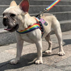 Distributeur de sac à crottes pour chiens avec lampe de poche LED intégrée et clip en métal Distributeur de sac à crottes pour chiens avec lampe de poche LED intégrée et clip en métal