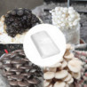 Sacs de culture de champignons pour sacs de frai scellables Résistants à la déchirure Outils de jardinage debout [...]