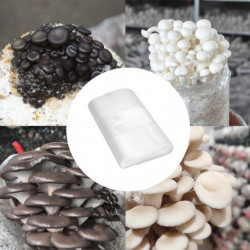 Sacs de culture de champignons pour sacs de frai scellables Résistants à la déchirure Outils de jardinage debout [...]