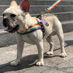 Distributeur De Sac À Caca De Chien Avec Lampe De Poche À Led Intégrée Et Clip En Métal Pour Laisse, Déchets [...]