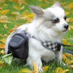 Dog Poop Backpack Holder | Dog Waste Bag Dispenser With Clip For Leash And Belt | Dog Bags For Poop For Dog [...]