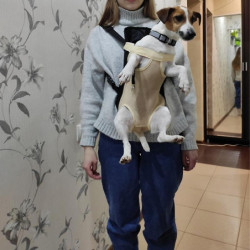 Pet Dog Carrier Backpack Mesh Camouflage Outdoor Travel Products Breathable Shoulder Handle Bags for Small Dog [...]