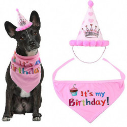 1pcs Pet Birthday Accessory