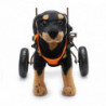 Pet Wheelchairs Adjustable Aluminum Alloy Portable Pet Rehabilitation Wheelchairs With Reflective Strips And Hook Loop
