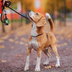 Dog Poop Bag Dispenser Hands Free, Dog Leash Poop Bag Holder Plastic Portable Pet Waste Bag Dispenser-garbage Bags [...]