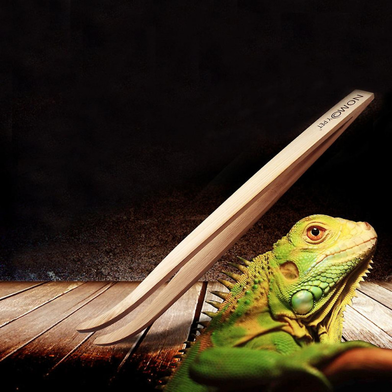 Reptile Poop Cleaning Tools Pet Animal Feeding Supplies For Amphibians Insects