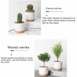 Large/small Container Accessories For Cactus High Strength Plant Pots