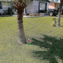 4 Pieces No Poop Dog Signs Please Be Respectful No Pooping Dog Lawn Signs No Dog Poop Yard Signs