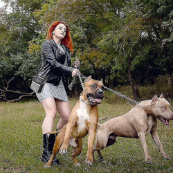 Dog Bag Dog Bag Convet For Carrying Pet Toys